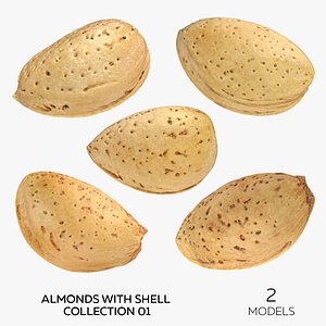 3D Almonds With Shell Collection 01 - 5 models