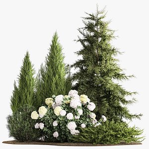 3D Garden Thuja Spruce Juniper And Hydrangea Bushes 1181 model