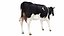 Dairy Cow 3