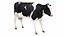 Dairy Cow 3