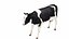 Dairy Cow 3