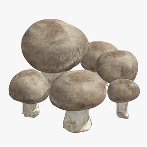 Fresh Mushroom 2 Low Poly 3D model
