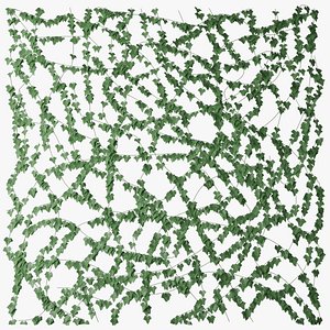 ivy wall 3D model