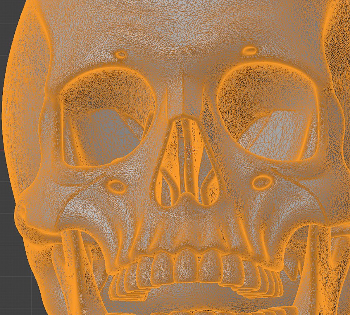 3D Model Human Skull With Open Jaw 3D - TurboSquid 2435412