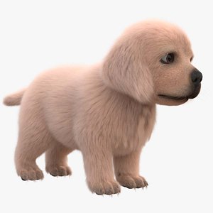 3D model Dog Puppy Golden Retriever FUR ANIMATED