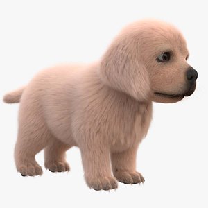 Dog Puppy Golden Retriever FUR ANIMATED