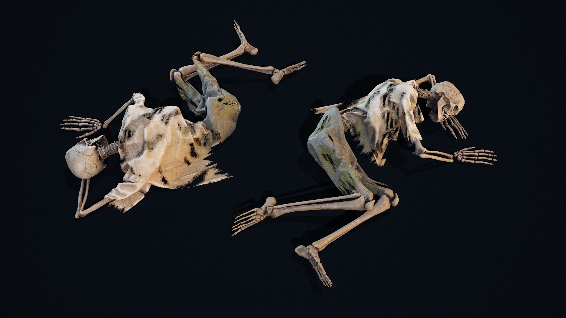 3D Skeleton Remains 1 Model - TurboSquid 2382533