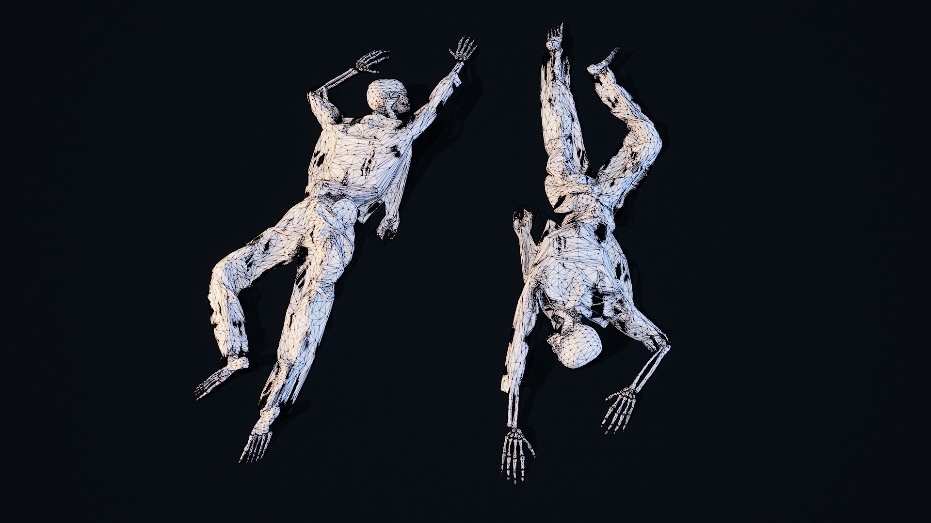 3D Skeleton Remains 1 Model - TurboSquid 2382533