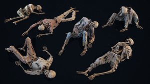 3D Skeleton Remains 1 model