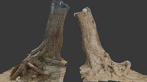 3D Large Broken Tree Stump with Exposed Roots