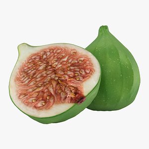 3d model realistic figs green