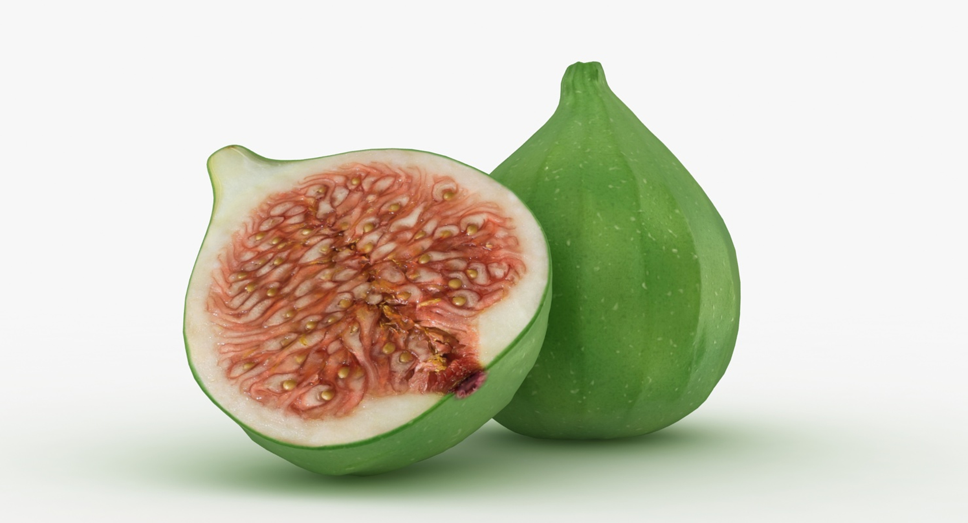 3d model realistic figs green