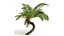 New Plant High detail Alsophila Spinulosa Fern 3D