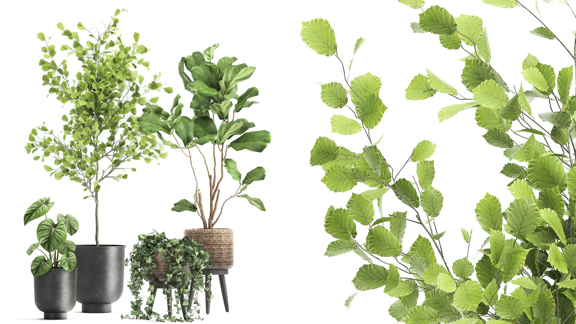 Plants in a rusty flowerpot for the interior 1044 model https://p.turbosquid.com/ts-thumb/bN/2LpvXR/RZ/1plants1009202102/jpg/1631363508/1920x1080/fit_q87/400dbaa722bc302eb41a5145fe3d82f90bb4c8a9/1plants1009202102.jpg