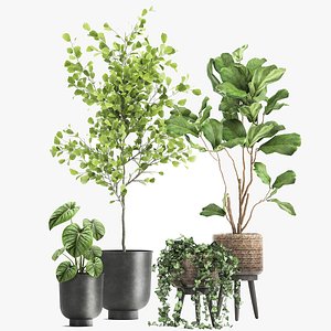 Plants in a rusty flowerpot for the interior 1044