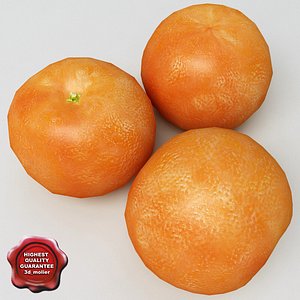 mandarine modelled 3d 3ds