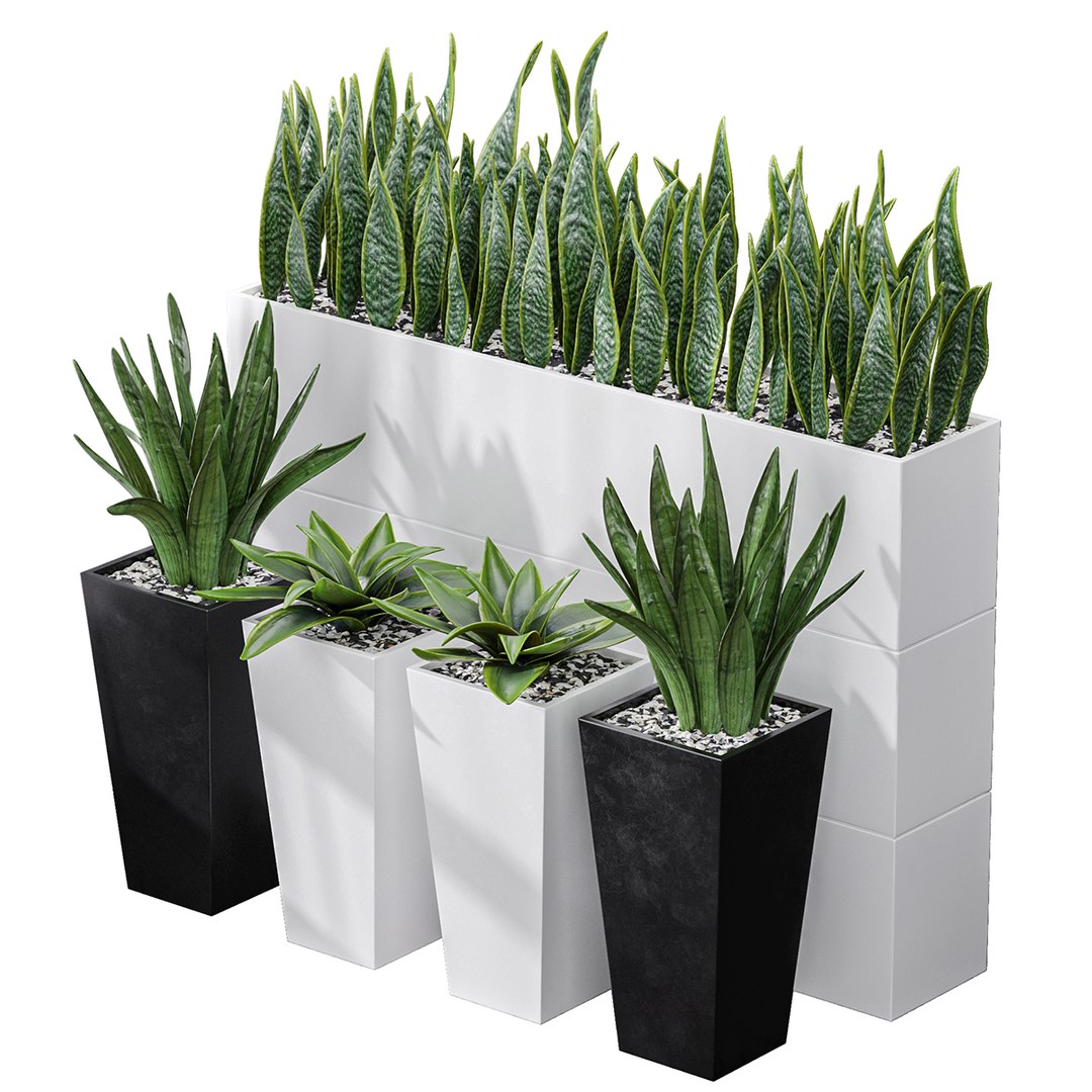 Partition Office Plants Sanseveria Snake Air Purifying 3D model https://p.turbosquid.com/ts-thumb/bN/DMZmxt/0R/z001/png/1720961307/1920x1080/fit_q87/fb04809cd9100e13049c6ec2c33baac881c18bba/z001.jpg