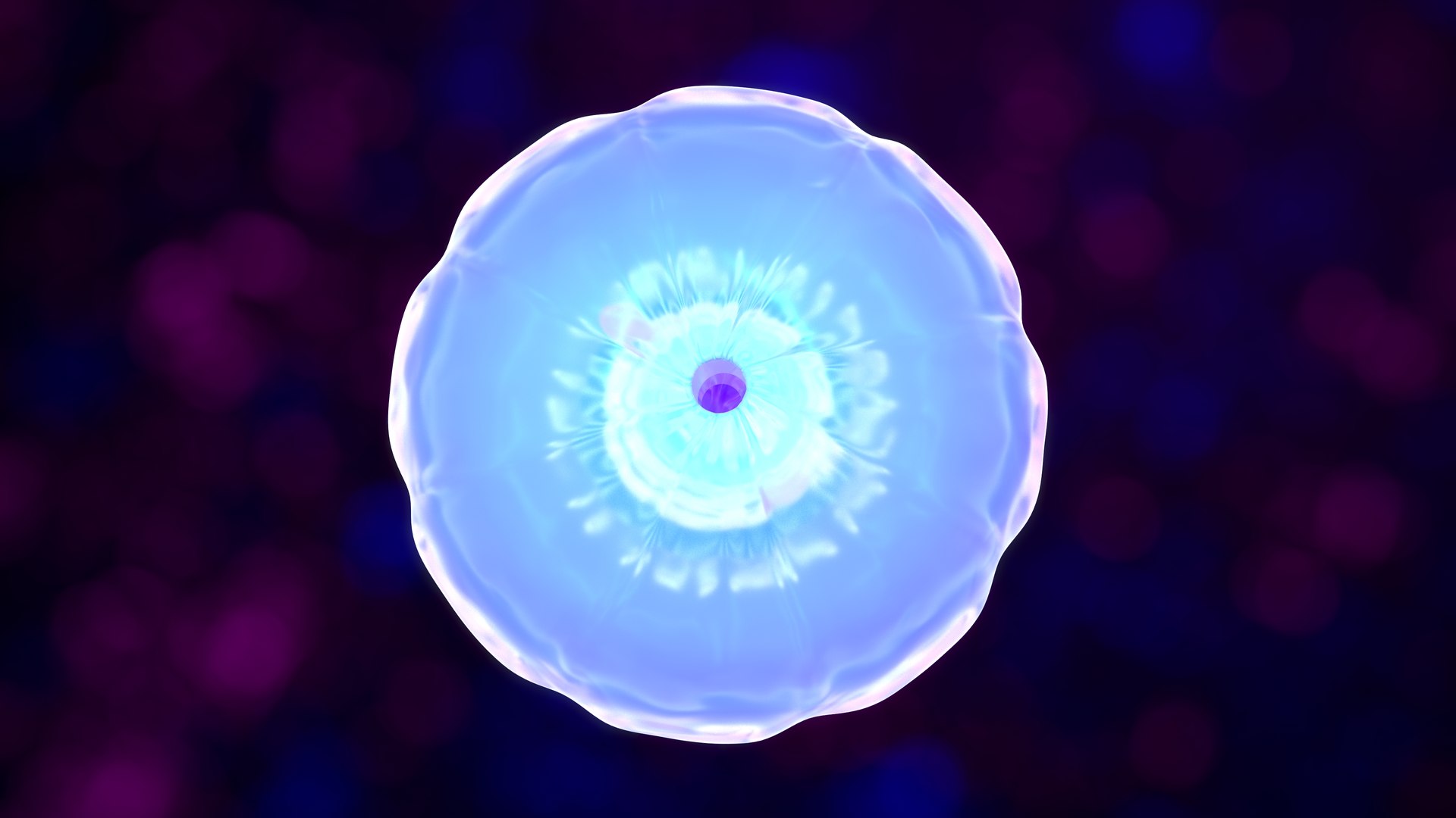 jellyfish 3D https://p.turbosquid.com/ts-thumb/bN/IsCpkf/Xx/z0033_jellyfish_0007/jpg/1707201925/1920x1080/fit_q87/1fa1de1f88a2630527fc93412fb4d5d810933aad/z0033_jellyfish_0007.jpg