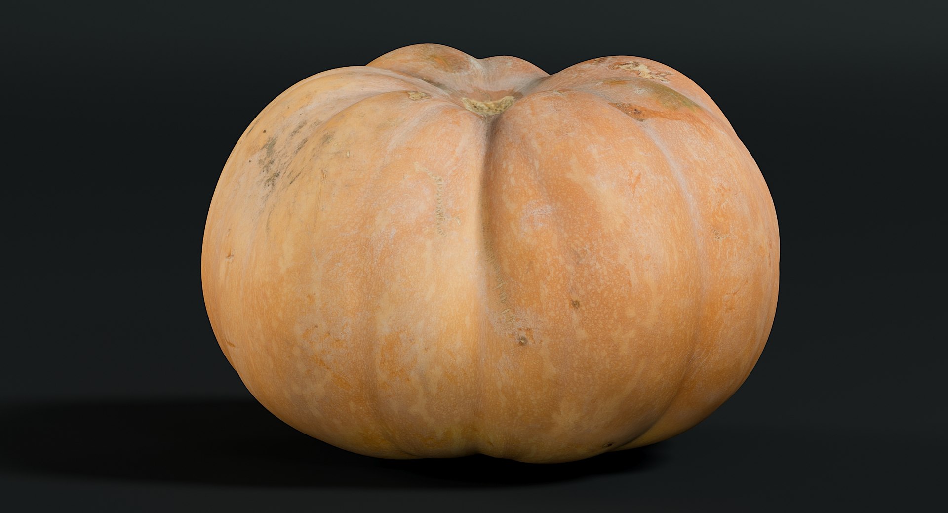 3D realistic pumpkin dirty 2 model https://p.turbosquid.com/ts-thumb/bN/OuLWcI/0i7hrowF/_view07/jpg/1569765538/1920x1080/fit_q87/96d7e54c457a9e61e2aca744f447848bb8bb38bb/_view07.jpg