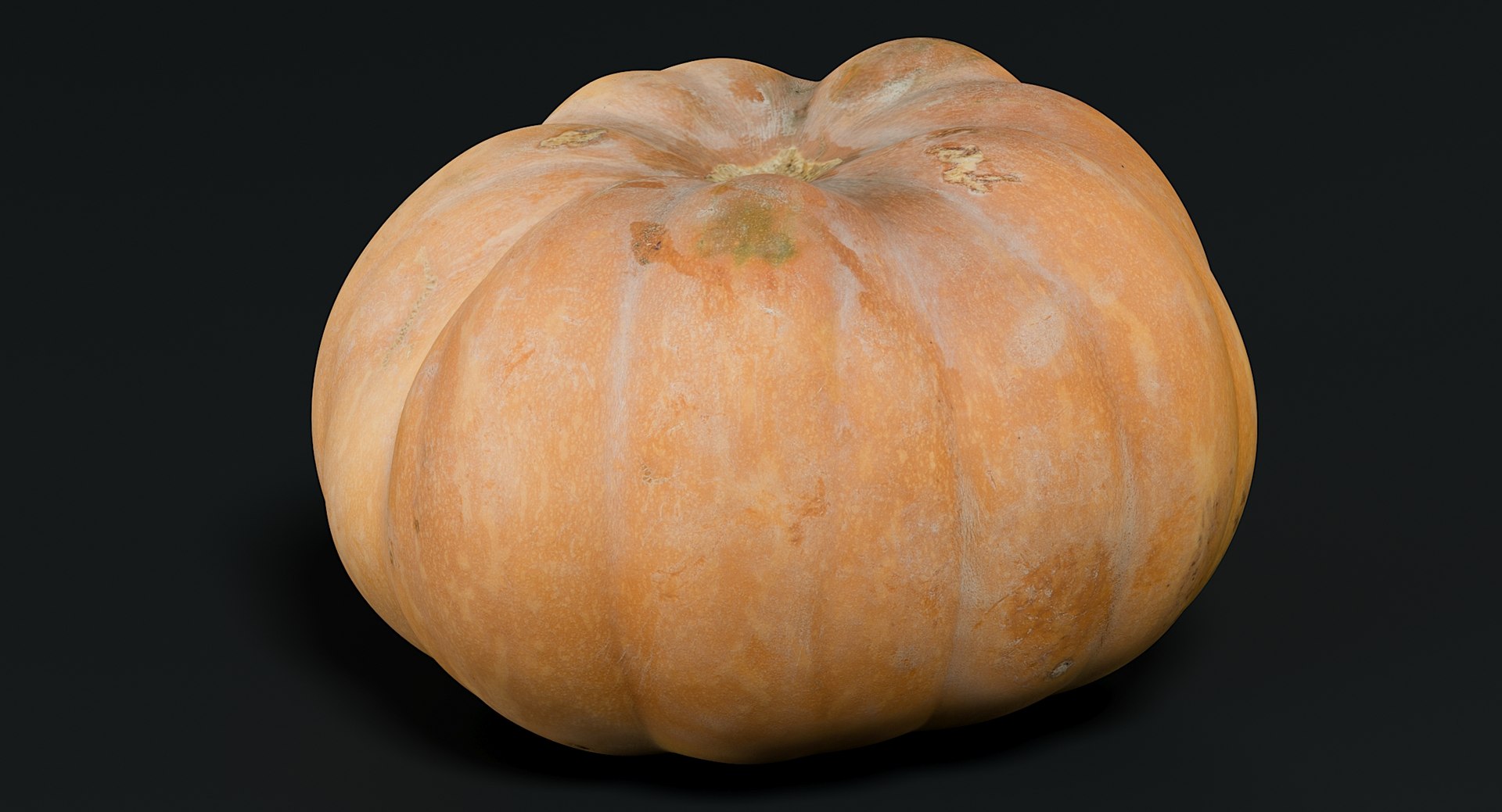 3D realistic pumpkin dirty 2 model https://p.turbosquid.com/ts-thumb/bN/OuLWcI/AhDojBMR/_view03/jpg/1569765538/1920x1080/fit_q87/4f158a9766d3ac4ed9f55efed22ff91f262f06bc/_view03.jpg