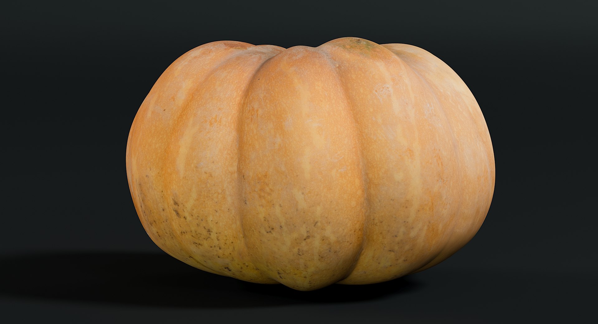 3D realistic pumpkin dirty 2 model https://p.turbosquid.com/ts-thumb/bN/OuLWcI/DdsDufwI/_view110012/jpg/1569765538/1920x1080/fit_q87/5d290a9859dcc8906b39f3ee7568b62055fbd470/_view110012.jpg