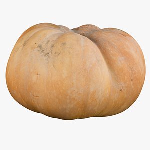 3D realistic pumpkin dirty 2 model