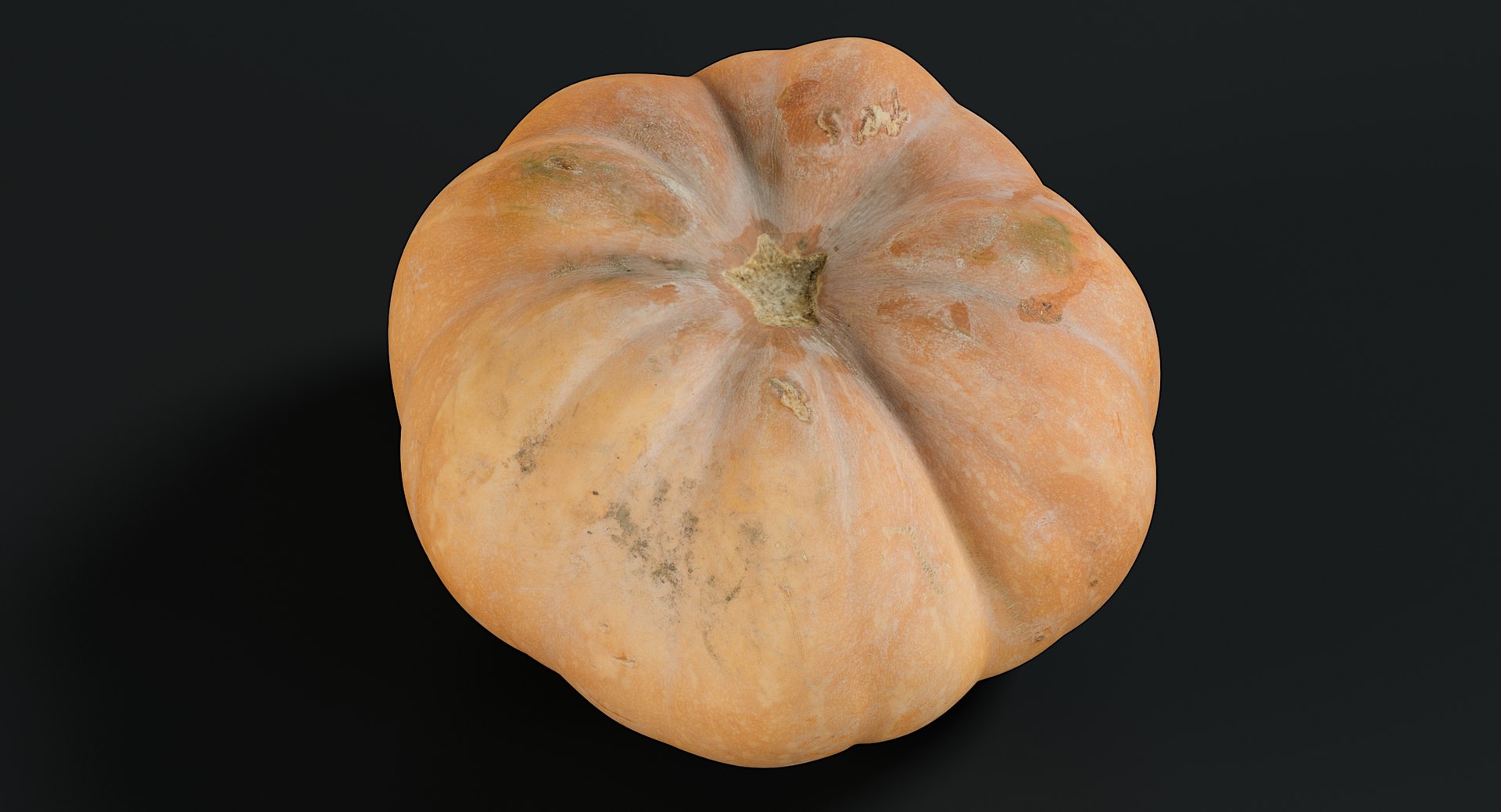 3D realistic pumpkin dirty 2 model https://p.turbosquid.com/ts-thumb/bN/OuLWcI/Vg1CmS6j/_view02/jpg/1569765538/1920x1080/fit_q87/54e8babb0a66c42f23821e65abd4ca3e29879dd3/_view02.jpg