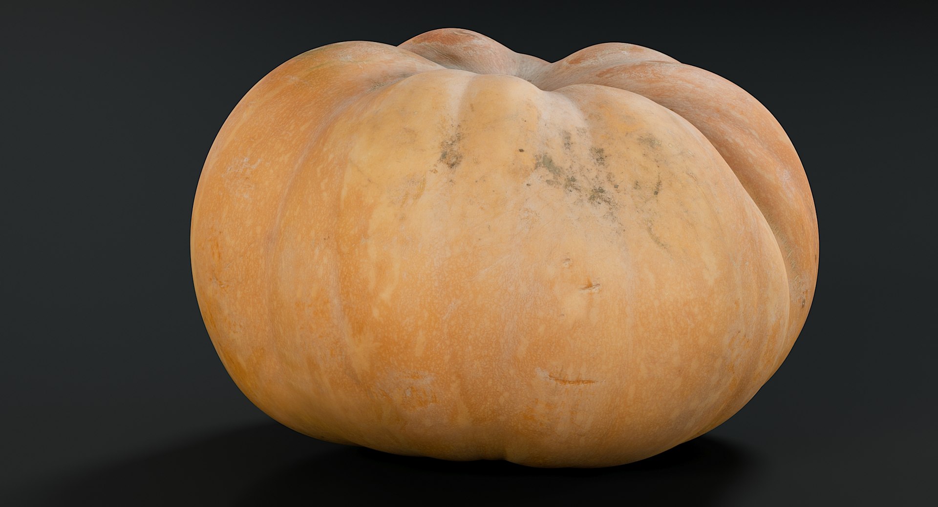 3D realistic pumpkin dirty 2 model https://p.turbosquid.com/ts-thumb/bN/OuLWcI/ZMwxdAna/_view04/jpg/1569765538/1920x1080/fit_q87/c5bd51e1092a7a9a048d728da7c416fad3ea168a/_view04.jpg
