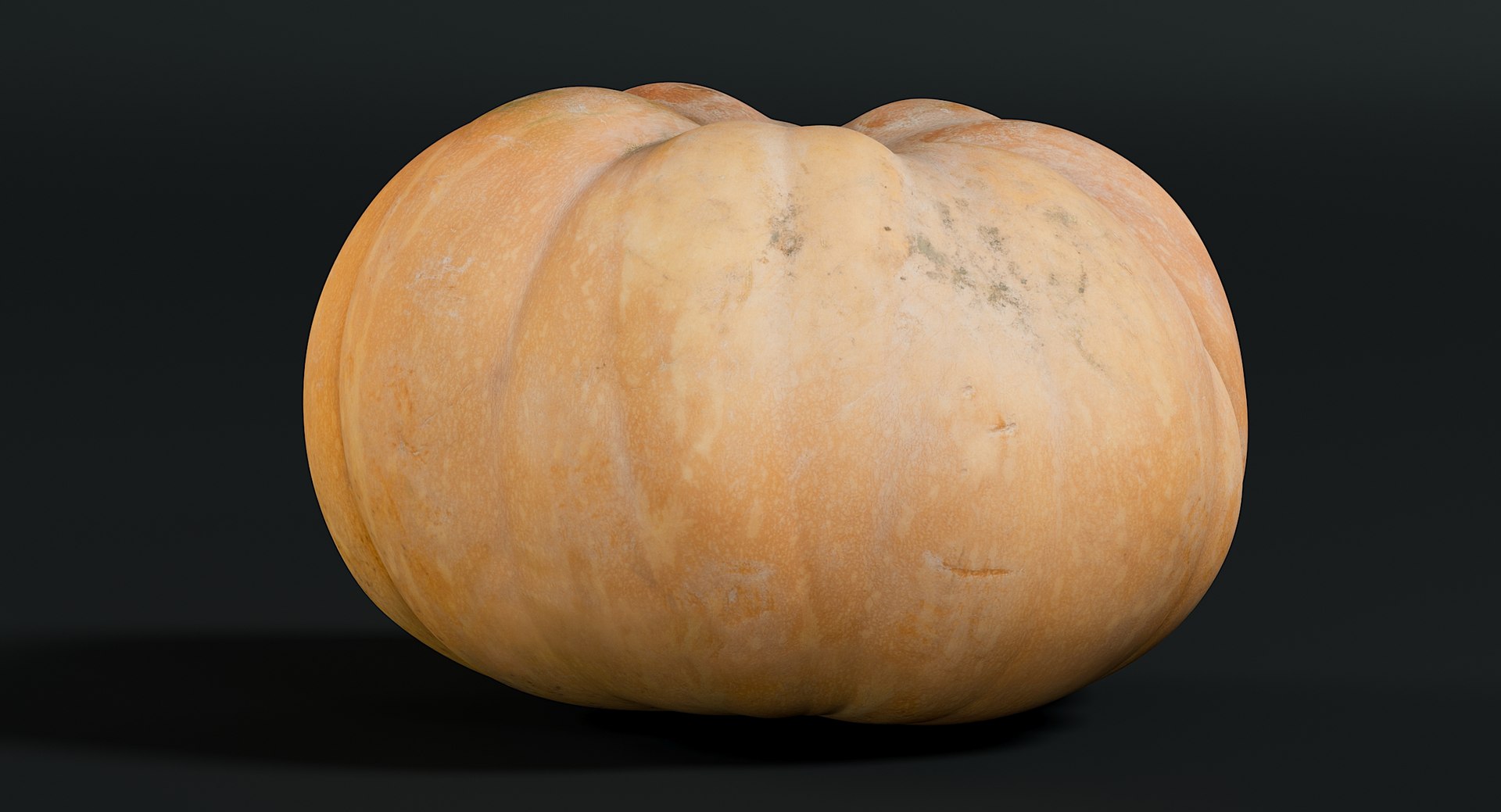3D realistic pumpkin dirty 2 model https://p.turbosquid.com/ts-thumb/bN/OuLWcI/axDEaPvJ/_view100006/jpg/1569765538/1920x1080/fit_q87/6c62456e80e34efc495c3c475607220a03fbb1b7/_view100006.jpg