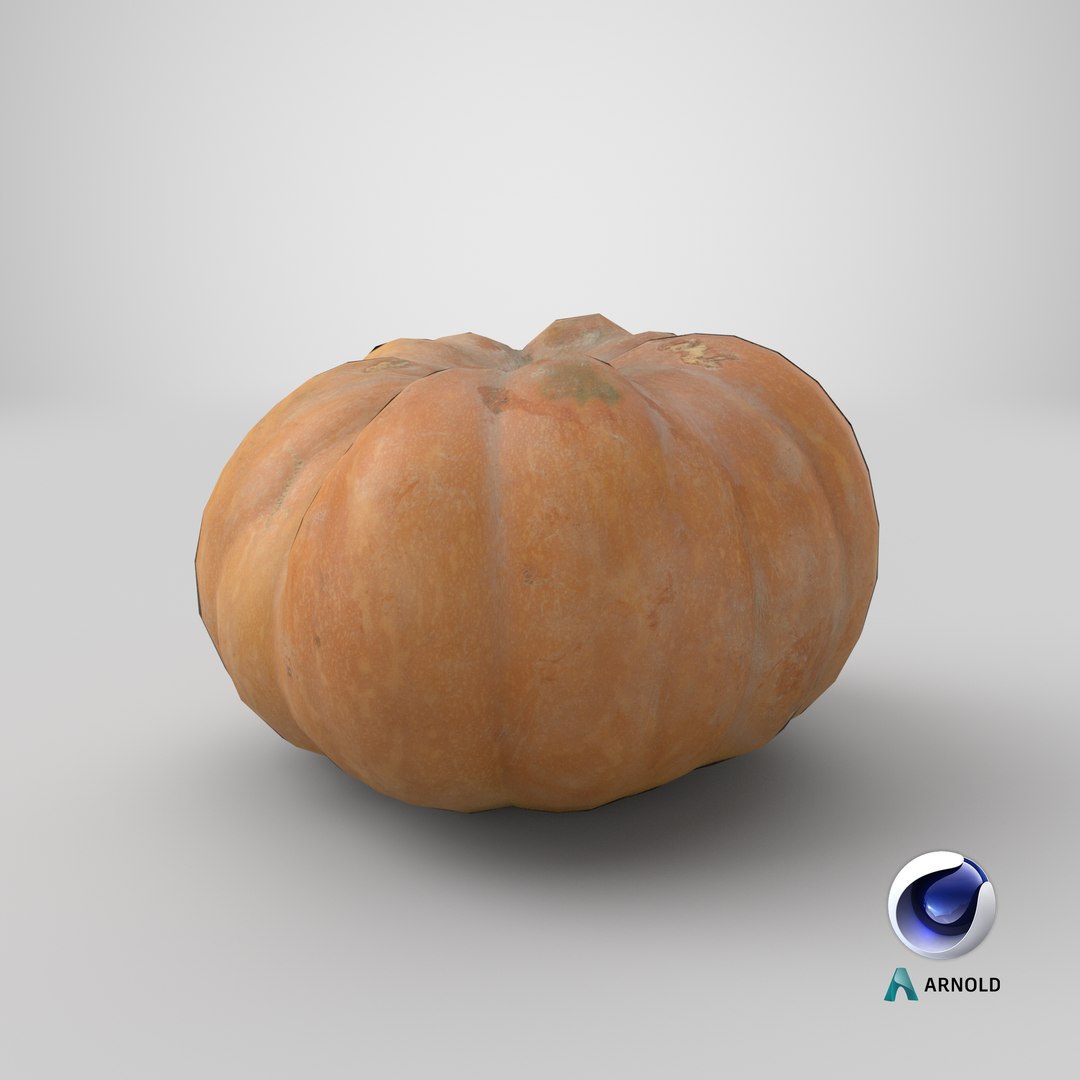 3D realistic pumpkin dirty 2 model https://p.turbosquid.com/ts-thumb/bN/OuLWcI/djEMNCiZ/stemcell_cinema_4d_arnold_render/png/1570522679/1920x1080/fit_q87/2e8c3e991887b1b6aae1f04a0f6122b7f212b833/stemcell_cinema_4d_arnold_render.jpg