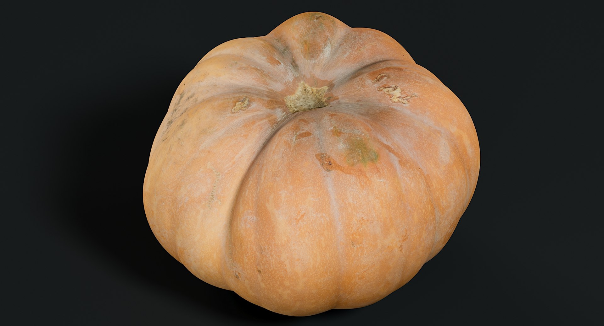 3D realistic pumpkin dirty 2 model https://p.turbosquid.com/ts-thumb/bN/OuLWcI/hERoF7rk/_view06/jpg/1569765538/1920x1080/fit_q87/43f4a01fd361b37366e036fd7b73be3910dc625b/_view06.jpg