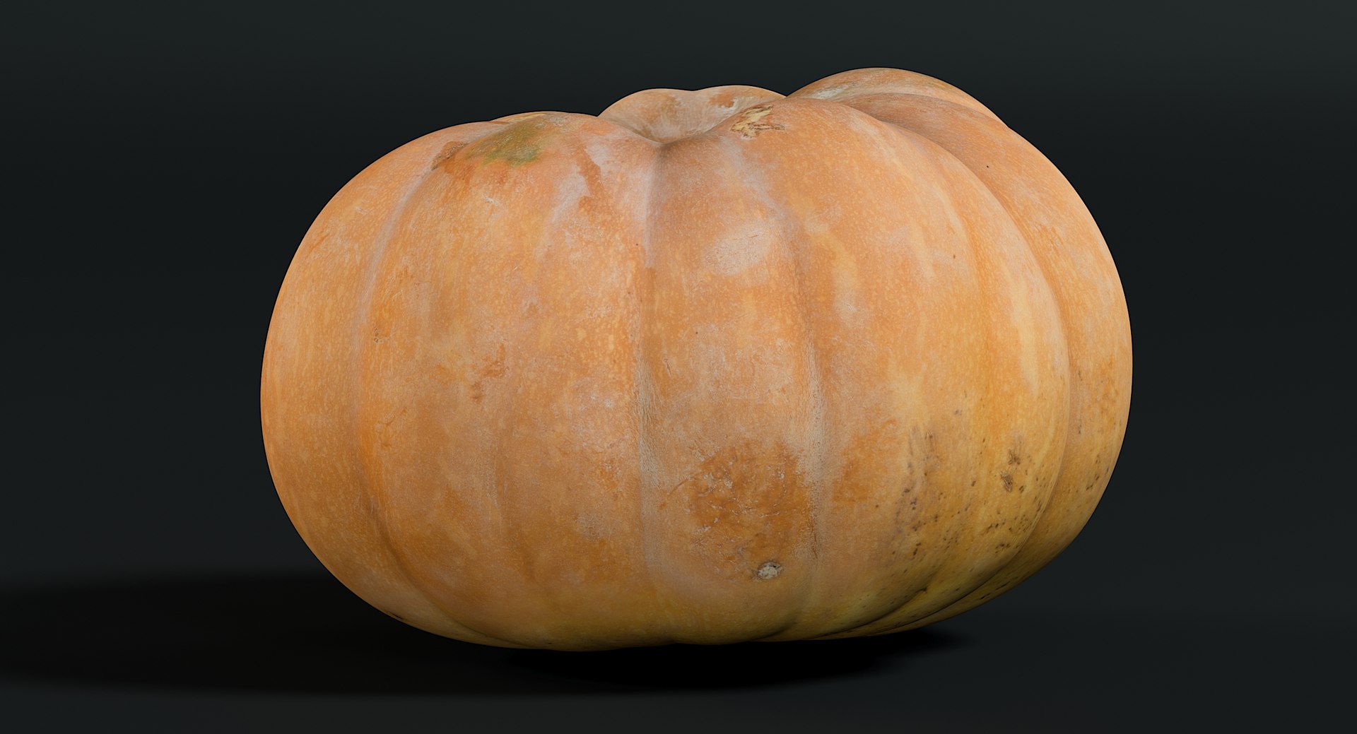 3D realistic pumpkin dirty 2 model https://p.turbosquid.com/ts-thumb/bN/OuLWcI/yGOQ5pu8/_view120018/jpg/1569765538/1920x1080/fit_q87/20af3733e5de9105ac75742238fd4d32b8954d0b/_view120018.jpg