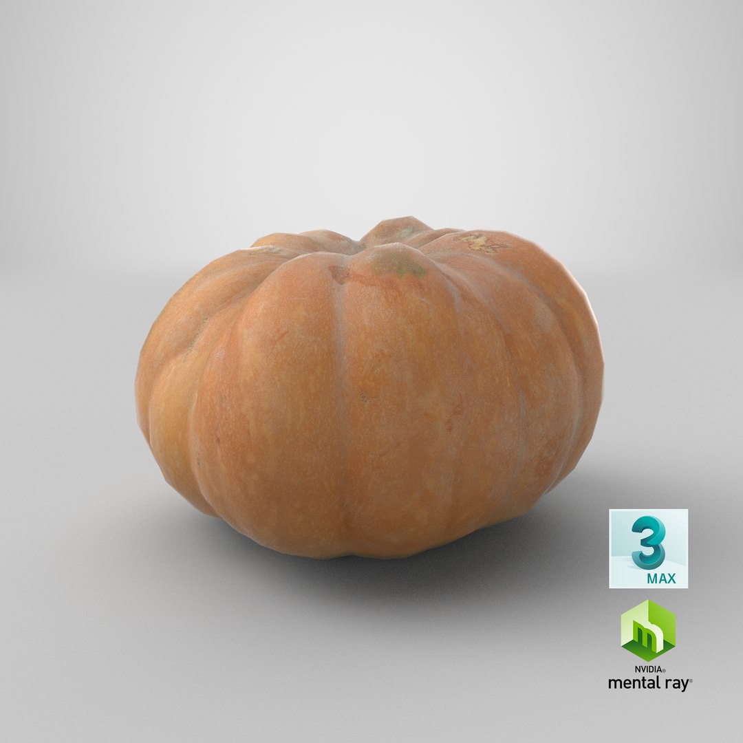 3D realistic pumpkin dirty 2 model https://p.turbosquid.com/ts-thumb/bN/OuLWcI/zqh8NphV/stemcell_max_mental_ray_render/png/1570522697/1920x1080/fit_q87/fa9a5865133a95f3dff223a227c7446b1fdae9d1/stemcell_max_mental_ray_render.jpg