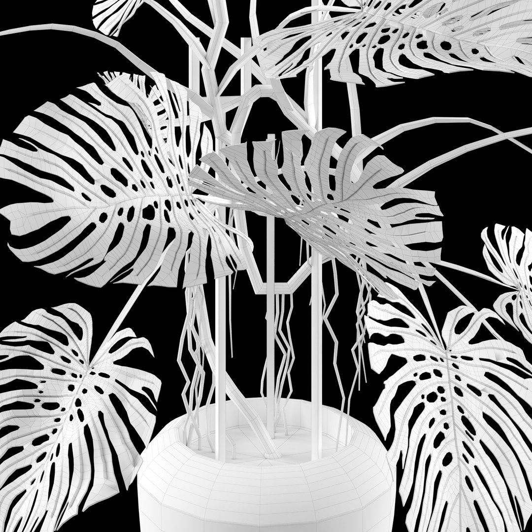 3d model liana monstera https://p.turbosquid.com/ts-thumb/bN/QzF2FA/UGNWBAJq/5/jpg/1460145771/1920x1080/fit_q87/2840467a467186c00642eb318926a77592f19eee/5.jpg