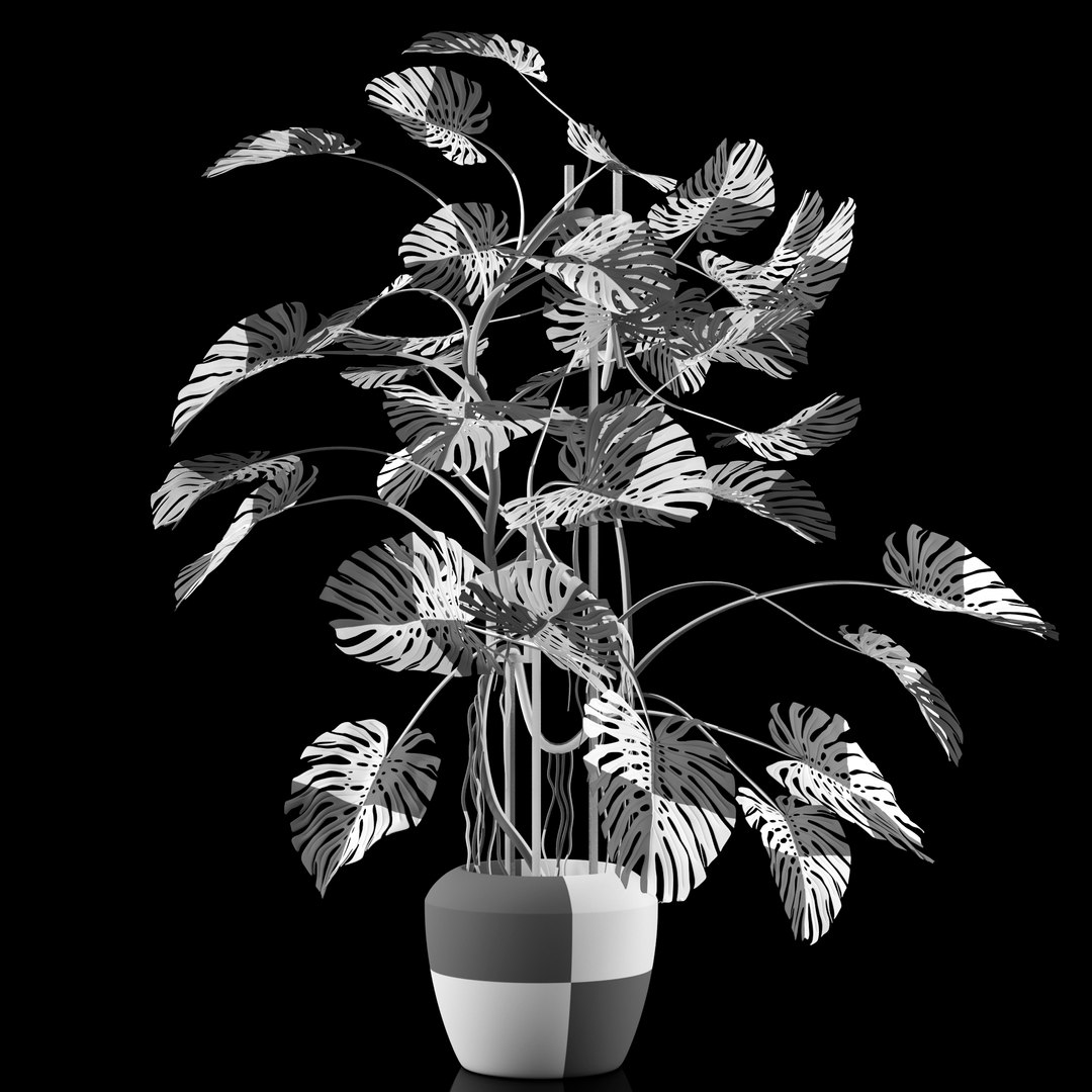 3d model liana monstera https://p.turbosquid.com/ts-thumb/bN/QzF2FA/XiQwBBsy/2/jpg/1460138433/1920x1080/fit_q87/5dd5da86909607a93bbecdc8c2142307a7c638eb/2.jpg