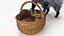 Opossum with Basket Mushrooms Fur