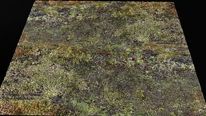 terrain ground grass bushes patch pt1 PBR photogrammetry model