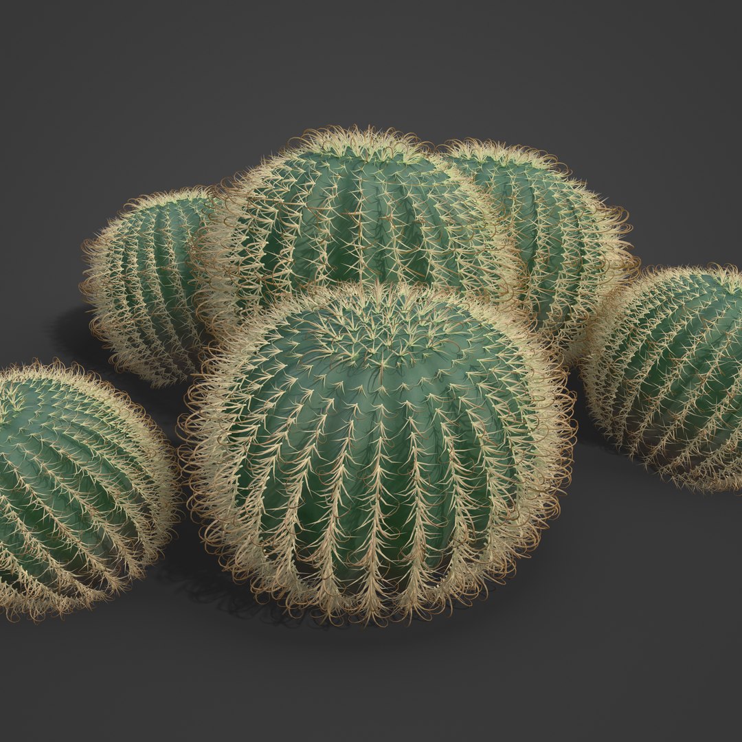 3D 2021 PBR Arizona Barrel Cactus Collection - Ferocactus Wislizenii model https://p.turbosquid.com/ts-thumb/bN/dfpwVR/bi/sw10_all_rbt_v01_1009/jpg/1634834306/1920x1080/fit_q87/f49dabe8bf3fdc8a698b8ab0a1a7b809fef29488/sw10_all_rbt_v01_1009.jpg