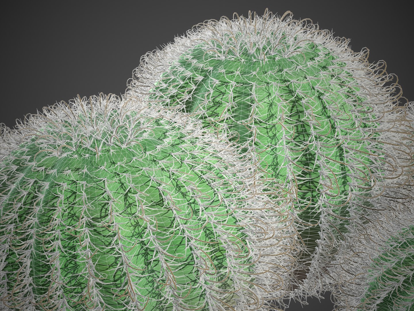 3D 2021 PBR Arizona Barrel Cactus Collection - Ferocactus Wislizenii model https://p.turbosquid.com/ts-thumb/bN/dfpwVR/gD/screenshot027/jpg/1634834313/1920x1080/fit_q87/d528d40251aa829feca3deb7378c01c8c5e0ccc3/screenshot027.jpg