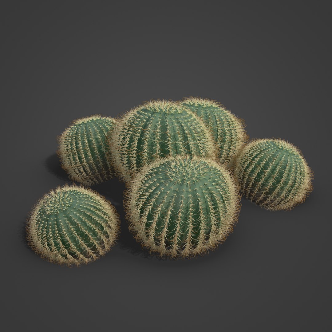 3D 2021 PBR Arizona Barrel Cactus Collection - Ferocactus Wislizenii model https://p.turbosquid.com/ts-thumb/bN/dfpwVR/s8/sw10_all_rbt_v01_1006/jpg/1634834305/1920x1080/fit_q87/d1e238c1f806ac41869ceabcdf98b80f163d5c8b/sw10_all_rbt_v01_1006.jpg