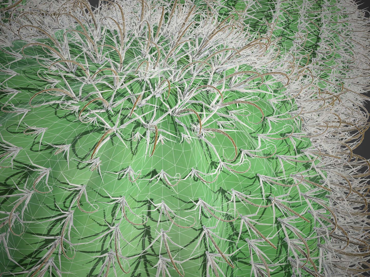 3D 2021 PBR Arizona Barrel Cactus Collection - Ferocactus Wislizenii model https://p.turbosquid.com/ts-thumb/bN/dfpwVR/sK/screenshot028/jpg/1634834312/1920x1080/fit_q87/21062810160871fbae841d2aa544722f7050f166/screenshot028.jpg