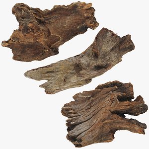 Broken Tree Trunk Collection 3D