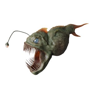3D model Angler fish rigged-stylized
