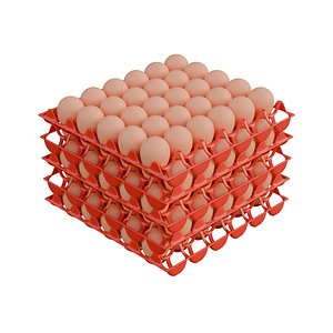 Egg Plastic Tray 3D model