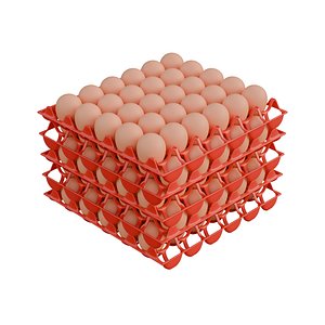 Egg Plastic Tray