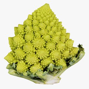 Romanesco Remastered 3D model