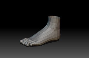 3d model of feet