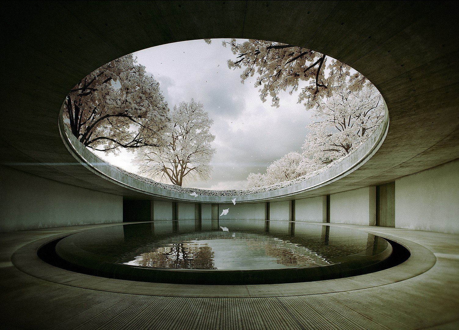 Tadao Ando NAOSHIMA Bon Marche Exhibition Signed Book Chichu