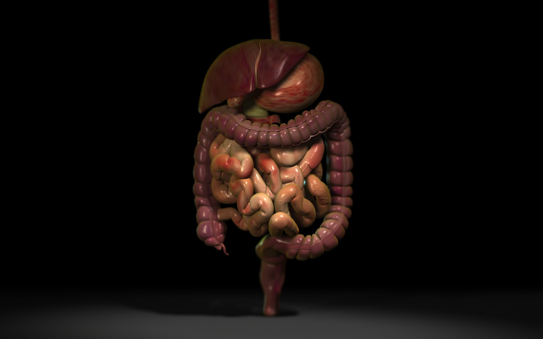 3D Digestive Scanline https://p.turbosquid.com/ts-thumb/bO/IXV4dk/lZ/signature_scanline/jpg/1668689980/1920x1080/fit_q87/ed9af04c62f8ab3d1840b012b320d2dae527bdb5/signature_scanline.jpg