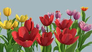 Tulip flowers different colors 3D model